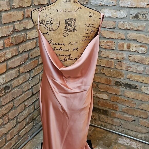 NWT Social Bridesmaids Desert Rose Charmeuse Cowl maxi gown sz XL - Picture 8 of 12